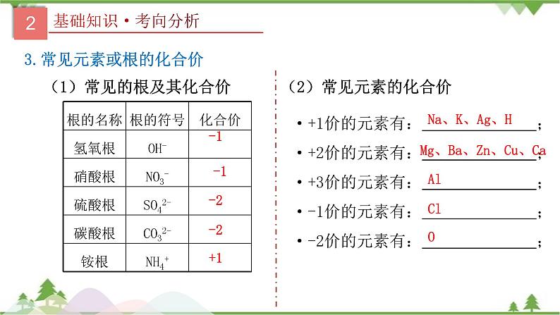 专题12 化学式与化学用语-2021年中考化学二轮专题课件（人教版）05