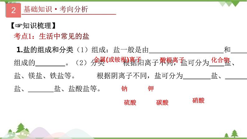 专题09 盐和化肥-2021年中考化学二轮专题课件（人教版）04