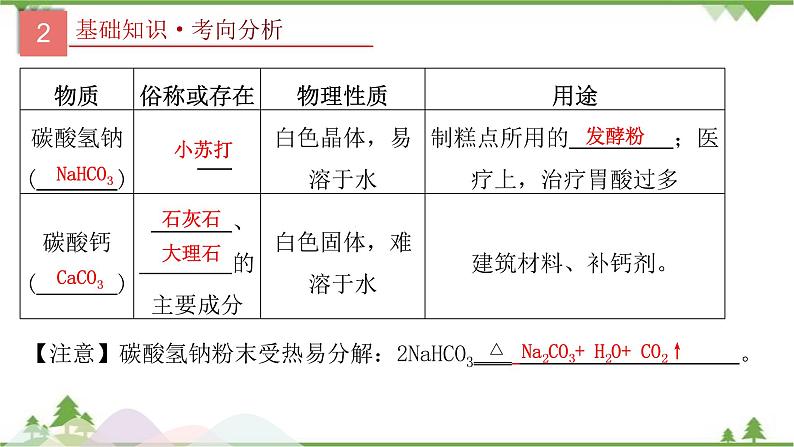 专题09 盐和化肥-2021年中考化学二轮专题课件（人教版）07