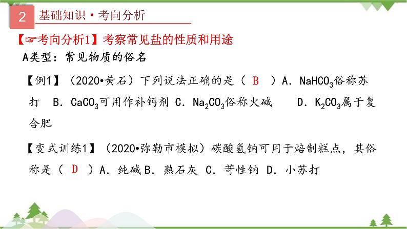 专题09 盐和化肥-2021年中考化学二轮专题课件（人教版）08