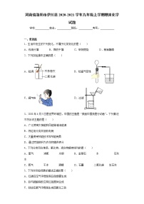 河南省洛阳市伊川县 2020-2021学年九年级上学期期末化学试题（word版 含答案）