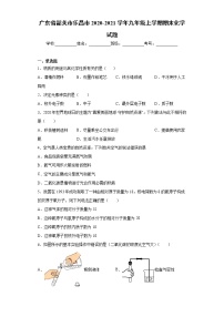 广东省韶关市乐昌市 2020-2021学年九年级上学期期末化学试题（word版 含答案）