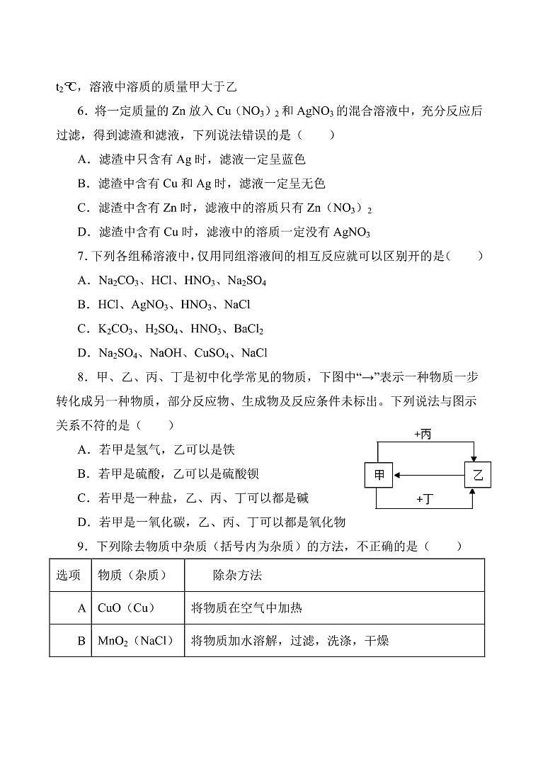 山东省枣庄市第十三中学 2020-2021学年 九年级下学期第一次月考化学试题（含答案）02