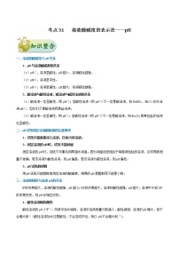 人教版中考化学考点专项复习  考点31 溶液酸碱度的表示法——pH