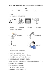 内蒙古赤峰市林西县 2020-2021学年九年级上学期 期末化学试题（含答案）