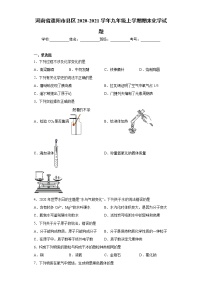 河南省濮阳市县区2020-2021学年九年级上学期期末化学试题（word版 含答案）