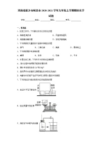 河南省新乡市辉县市2020-2021学年九年级上学期期末化学试题（word版 含答案）