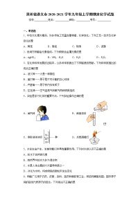 贵州省遵义市2020-2021学年九年级上学期期末化学试题（word版 含答案）