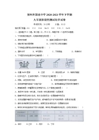 河南省郑州外国语中学2020-2021学年下学期九年级阶段性测试化学试卷