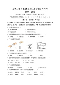 云南省昆明市第三中学2020-2021学年九年级3月月考化学试题