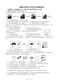 2021年安徽中考化学模拟卷含解析卷