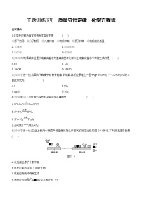 中考化学福建专版 专题练习  主题训练(04)　质量守恒定律　化学方程式（含解析）