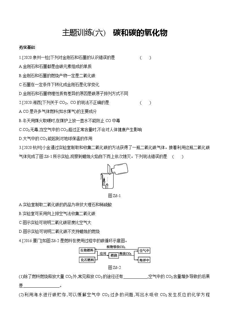 2021中考化学福建专版 专题练习  主题训练(06)　碳和碳的氧化物（含解析）01