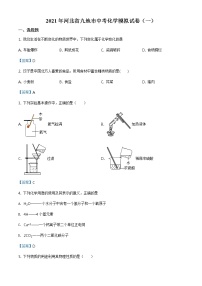 2021年河北省九地市中考一模  化学试题