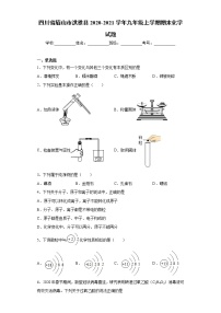 四川省眉山市洪雅县2020-2021学年九年级上学期期末化学试题（word版 含答案）