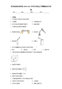 河北省沧州市青县2020-2021学年九年级上学期期末化学试题（word版 含答案）