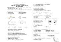 海南省华中师范大学海南附属中学2020-2021学年九年级下学期第二次月考化学试题