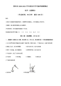 广西梧州市2020-2021学年九年级下学期月考化学试题