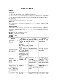 鲁教版九年级化学专题复习   酸碱盐复习课 教案