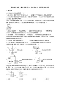 化学鲁教版到实验室去：探究燃烧的条件同步达标检测题