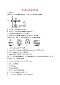 2021年中考化学专题训练第六单元碳和碳的氧化物含解析