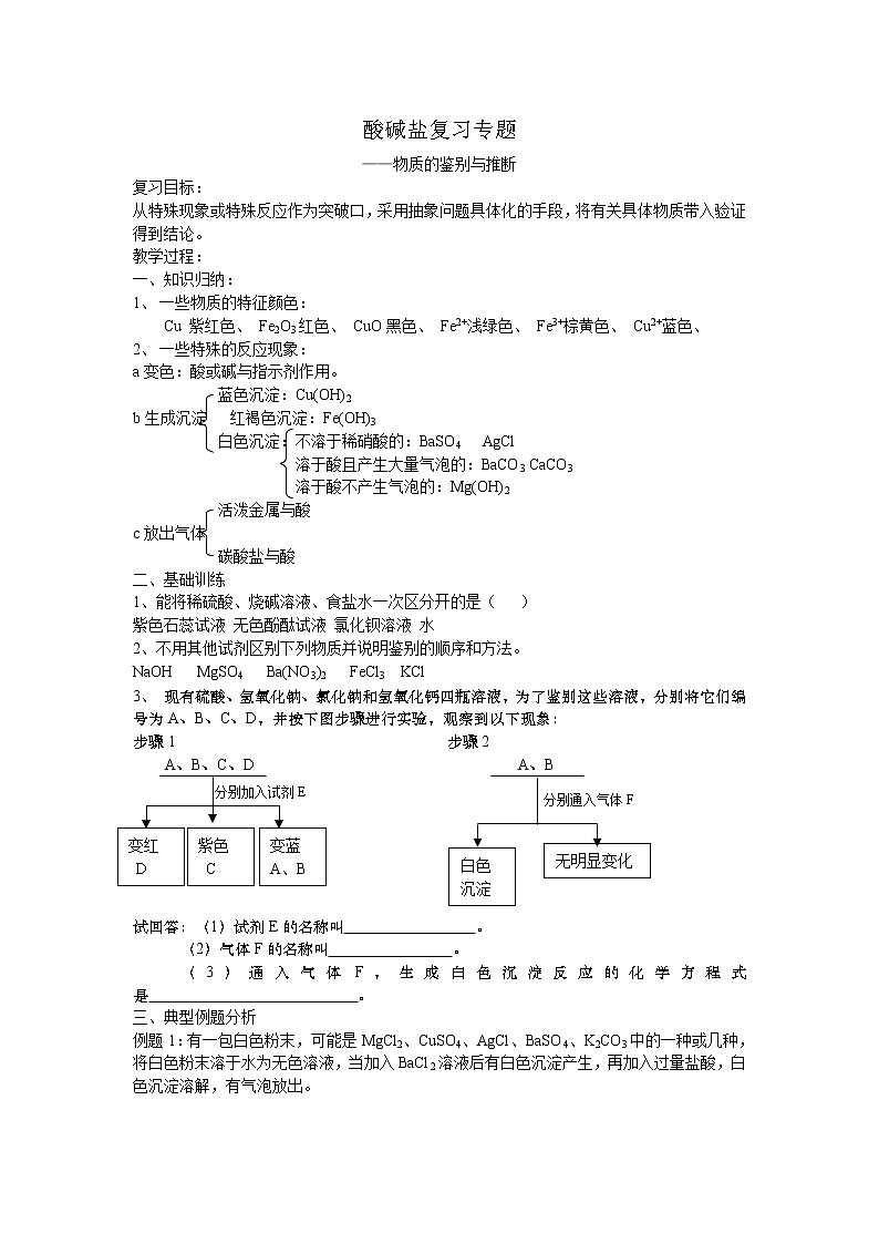 鲁教版九年级化学专题复习   质的鉴别与推断 导学案（无答案）01