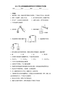 2021年江苏省盐城市射阳县中考模拟化学试题（word版 含答案）