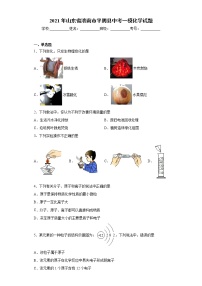 2021年山东省济南市平阴县中考一模化学试题（word版 含答案）