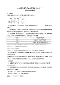 2021届中考化学实验探究通关练（一）物质性质的探究