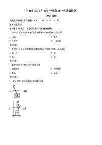 2021年福建省宁德市中考一模化学试题