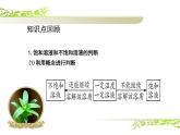 固体溶解度曲线专题复习课件