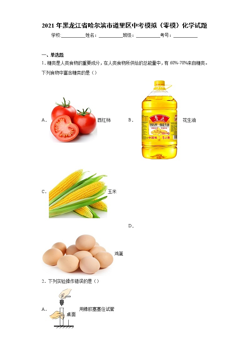 2021年黑龙江省哈尔滨市道里区中考模拟（零模）化学试题（word版 含答案）01