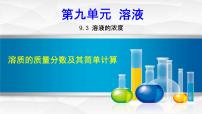 人教版九年级下册课题3 溶液的浓度评课ppt课件