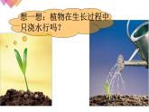 人教版九年级化学下册《化学肥料》优质课一等奖课件