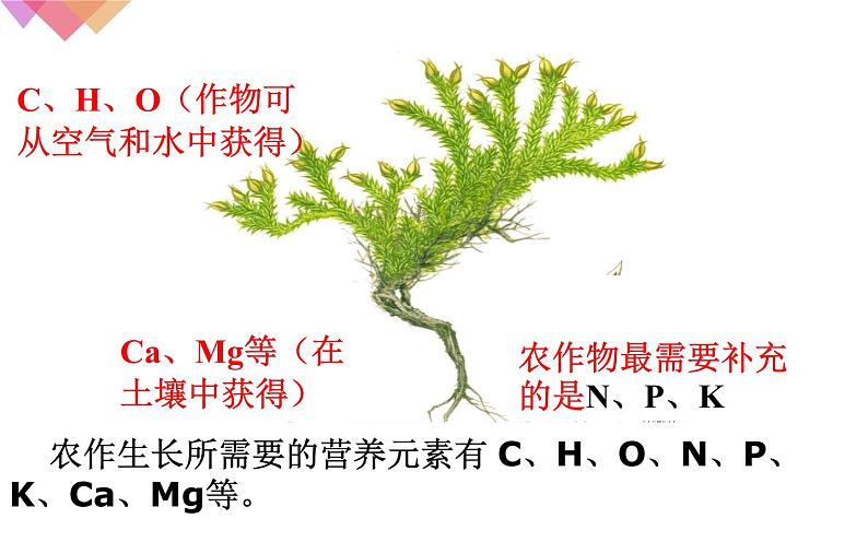 人教版九年级化学下册《化学肥料》优质课一等奖课件04