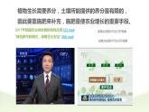 人教版九年级化学下册《化学肥料》优课一等奖课件