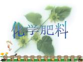 人教版九年级化学下册《化学肥料》公开课教学一等奖课件.pptx