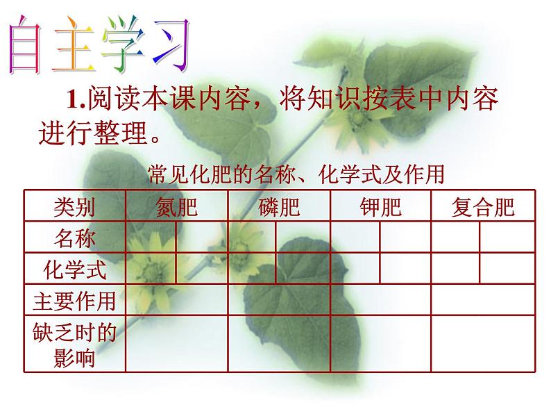 人教版九年级化学下册《化学肥料》公开课教学一等奖课件.pptx06