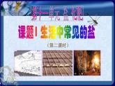 人教版九年级化学下册《生活中常见的盐》公开课教学课件