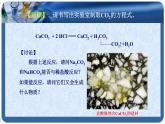 人教版九年级化学下册《生活中常见的盐》公开课教学课件