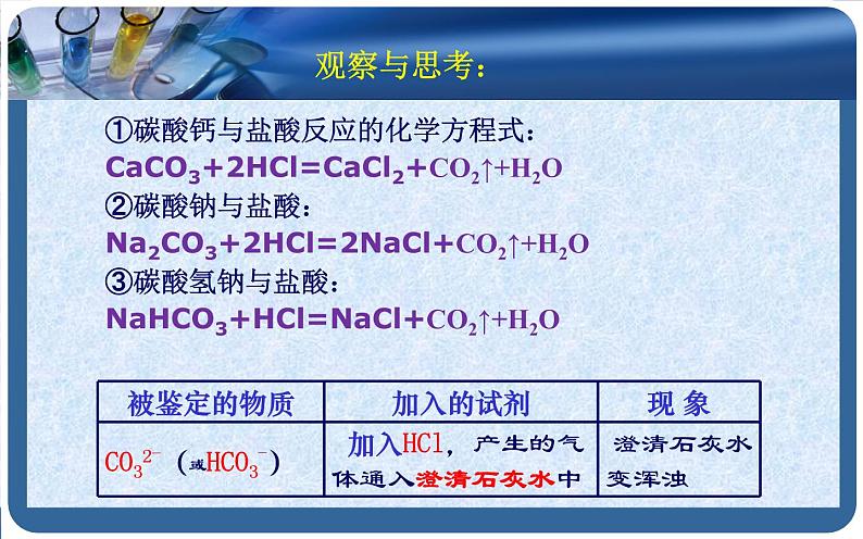 人教版九年级化学下册《生活中常见的盐》公开课教学课件04