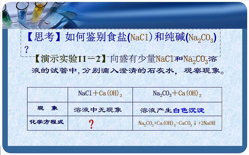 人教版九年级化学下册《生活中常见的盐》公开课教学课件05