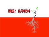 人教版九年级化学下册《化学肥料》公开课一等奖课件