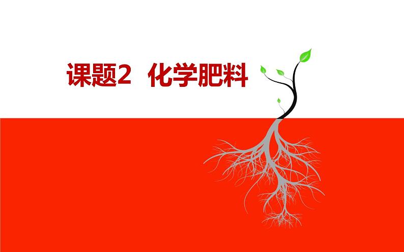 人教版九年级化学下册《化学肥料》公开课一等奖课件01