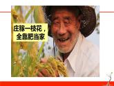 人教版九年级化学下册《化学肥料》公开课一等奖课件