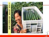 人教版九年级化学下册《化学肥料》公开课一等奖课件