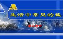 人教版九年级下册课题1 生活中常见的盐课前预习课件ppt