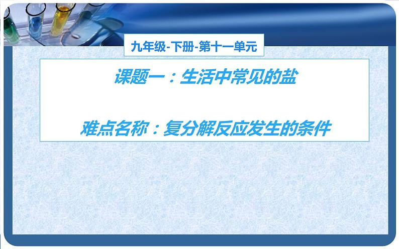 人教版九年级化学下册《生活中常见的盐》培优课一等奖课件02