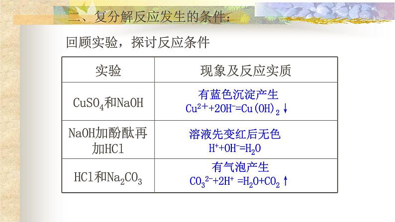 中考化学专题复习——复分解反应及其应用第6页