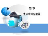 人教版九年级化学下册《生活中常见的盐》公开课一等奖课件